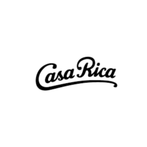 Diseño sin título - 2024-09-30T204646.226